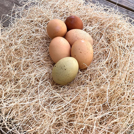 Nest Box Pads for Chicken Nesting Boxes - 13 x 13 Pads Made in USA from Sustainably Sourced Aspen Excelsior (10 Pack)