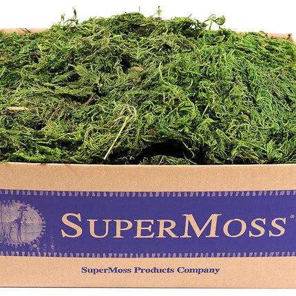 SuperMoss (25325) Forest Moss Preserved, Fresh Green, 3lbs