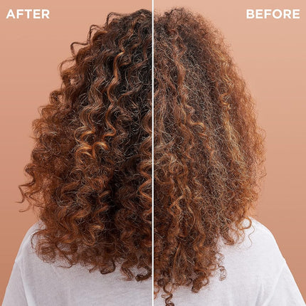Garnier Hair Care Whole Blends Smoothing Conditioner with Coconut Oil & Cocoa Butter Extracts for Frizz, 2 Count