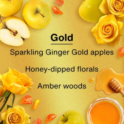 LITTLE TREES Air Fresheners Car Air Freshener. Hanging Tree Provides Long Lasting Scent for Auto or Home. Gold, 24 Air Fresheners