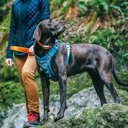 Arnés para Perros Journey Air, Azul, G