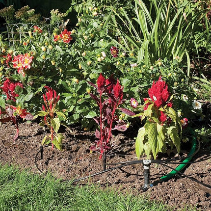 Rain Bird SWDMSPKIT Drip Irrigation Spot Watering Manifold on a Spike Kit, Bubblers and Emitters