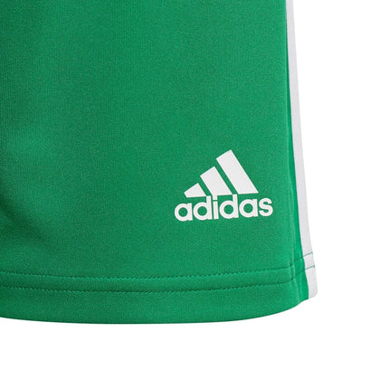 adidas Boys' Squadra 21 Shorts, Team Green/White, X-Large